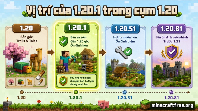 Nên lựa chọn phiên bản nào?